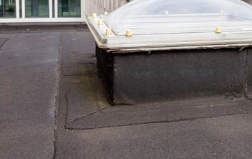 disadvantages of Windyknowe flat roofs