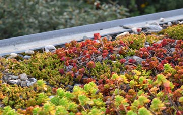 the cost of Windyknowe green roof installation