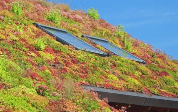 Windyknowe living roof systems