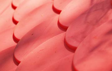 Windyknowe plastic roof costs